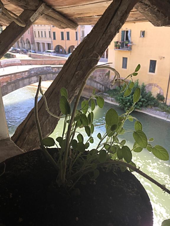 Ferienwohnung Mansardina Artista Padua Exterior foto